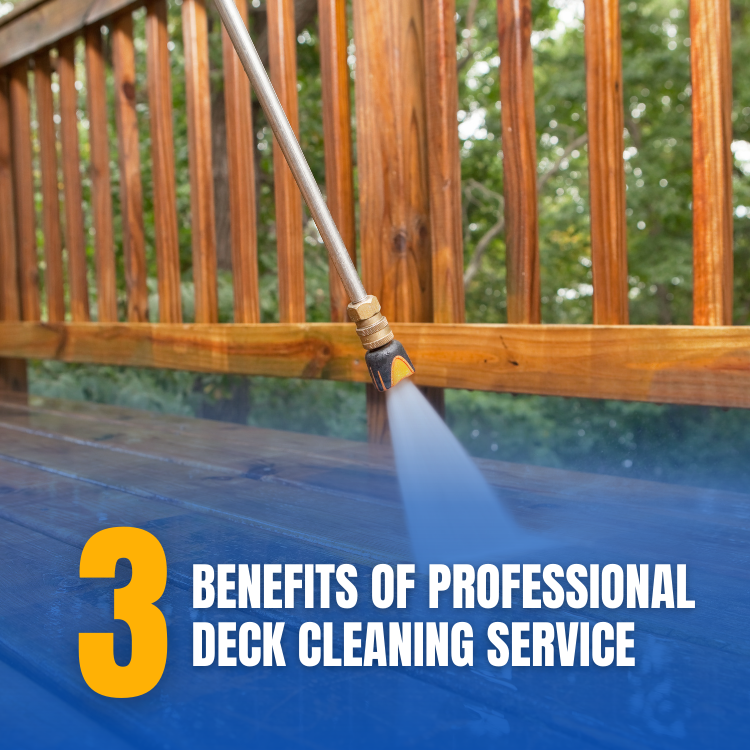 https://雷竞技下载链接官网appwww.explorizers.com/brantford/wp-content/uploads/sites/12/2022/05/Benefits-of-Professional-Deck-Cleaning-Service.png