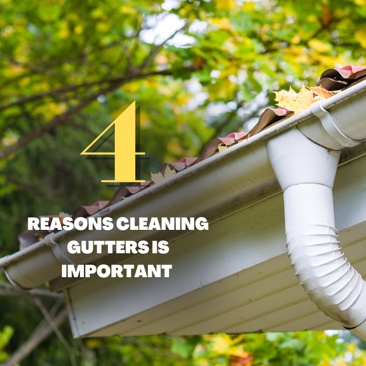 https://雷竞技下载链接官网appwww.explorizers.com/brantford/wp-content/uploads/sites/12/2022/06/Reasons-Cleaning-Gutters-Is-Important-.png