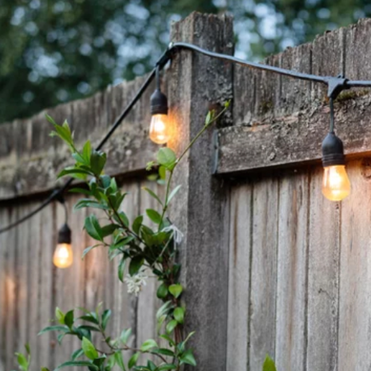 https://雷竞技下载链接官网appwww.explorizers.com/edmonton/wp-content/uploads/sites/19/2021/08/3-Common-Fence-Problems-That-Require-Repairs.jpg