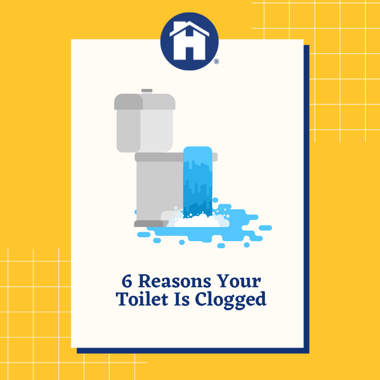 https://雷竞技下载链接官网appwww.explorizers.com/edmonton/wp-content/uploads/sites/19/2022/04/6-Reasons-Your-Toilet-Is-Clogged.png