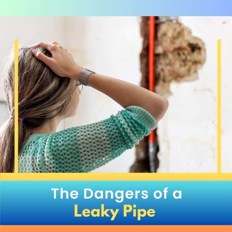 https://雷竞技下载链接官网appwww.explorizers.com/etobicoke/wp-content/uploads/sites/50/2023/06/Etobicoke-Plumber_-The-Dangers-of-a-Leaky-Pipe.jpg