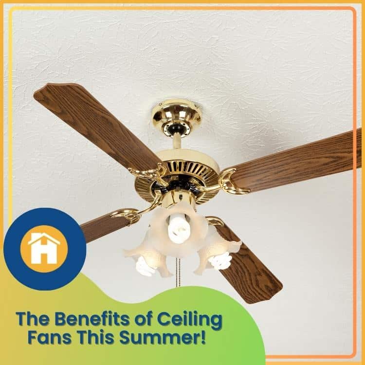 https://雷竞技下载链接官网appwww.explorizers.com/kelowna/wp-content/uploads/sites/24/2023/06/Kelowna-Electrician_-The-Benefits-of-Ceiling-Fans-This-Summer.jpg