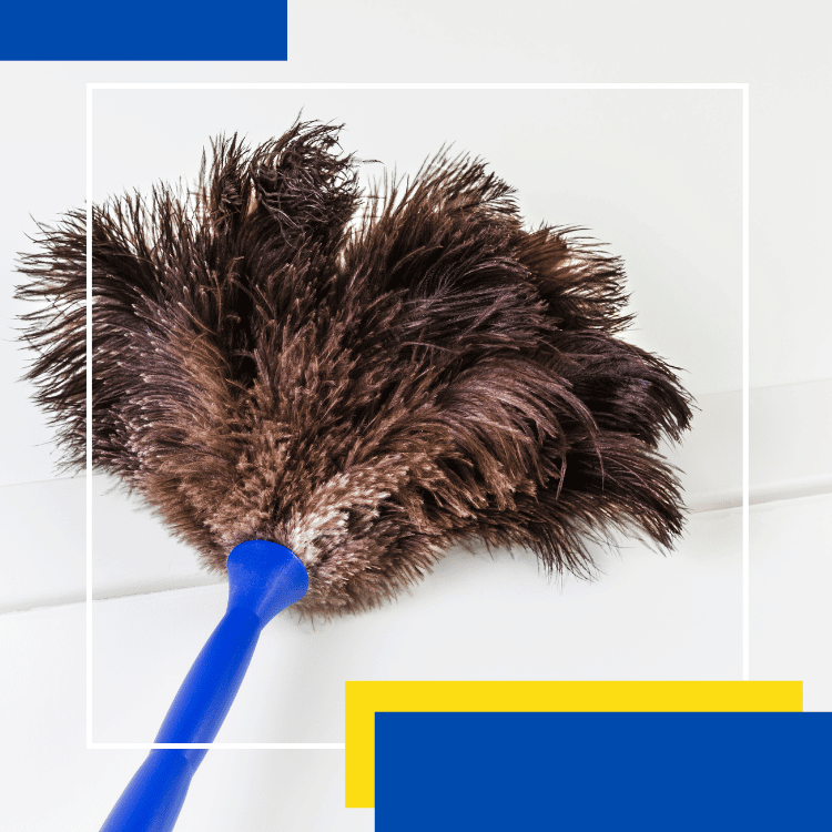 https://雷竞技下载链接官网appwww.explorizers.com/kitchener/wp-content/uploads/sites/25/2022/11/Dusting-the-wall.png