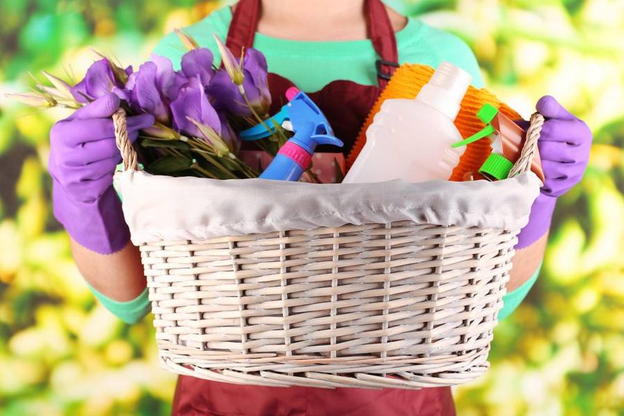 https://雷竞技下载链接官网appwww.explorizers.com/mckinney/wp-content/uploads/sites/31/2021/05/shutterstock_184215752.jpg
