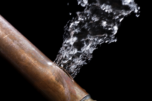 https://雷竞技下载链接官网appwww.explorizers.com/mckinney/wp-content/uploads/sites/31/2021/05/shutterstock_212307358.jpg