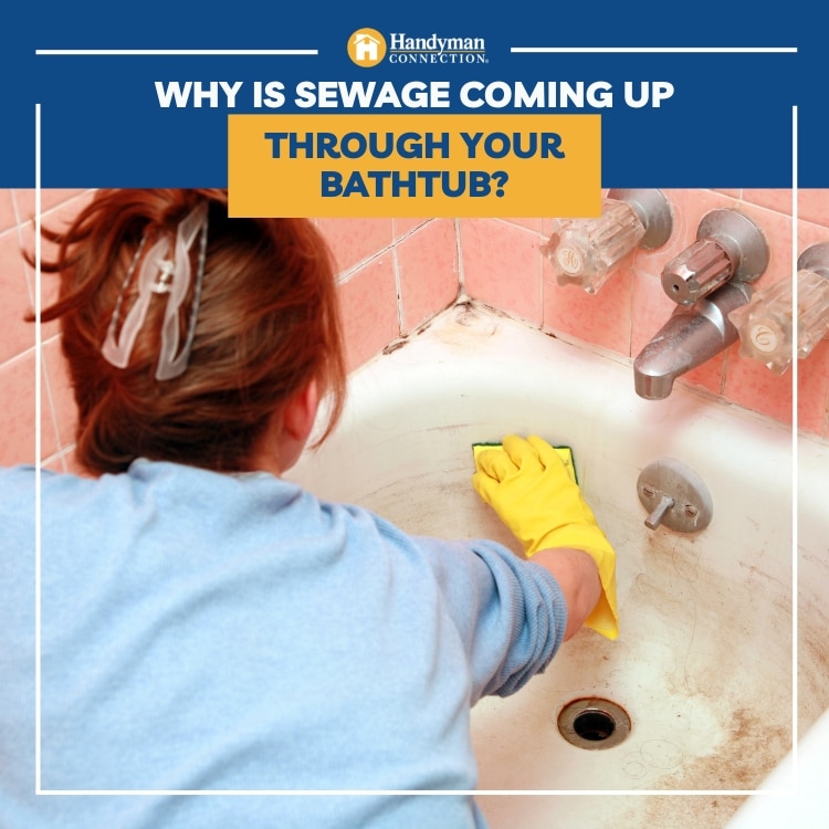 https://雷竞技下载链接官网appwww.explorizers.com/mississauga/wp-content/uploads/sites/66/2022/11/Mississauga-Plumber-Why-is-Sewage-Coming-Up-Through-Your-Bathtub.jpg