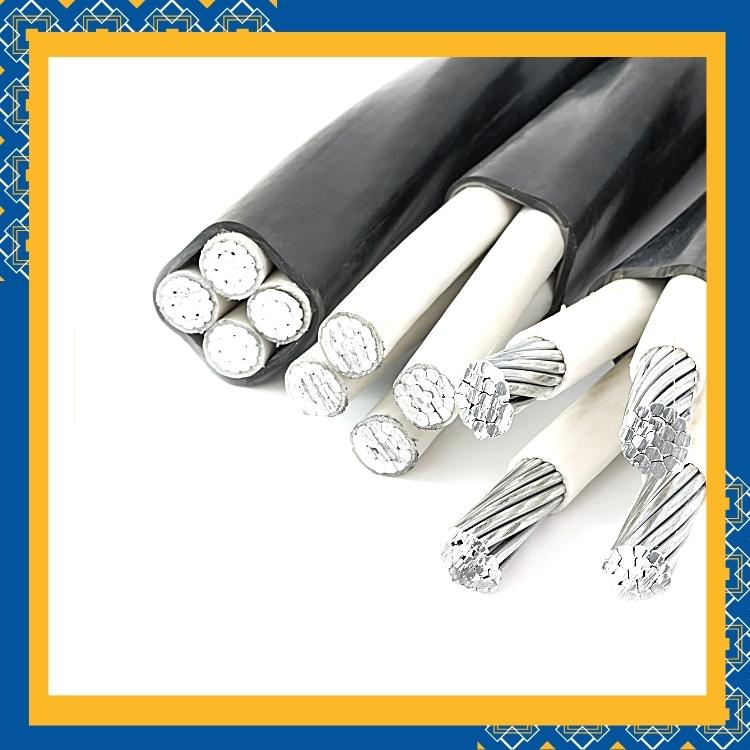 https://雷竞技下载链接官网appwww.explorizers.com/ottawa/wp-content/uploads/sites/38/2022/01/Ottawa-Electrical-Repair-What-Is-Aluminum-Wiring.jpg