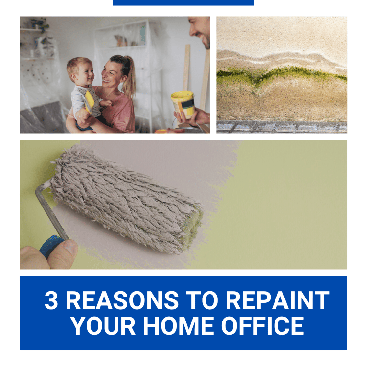 https://雷竞技下载链接官网appwww.explorizers.com/ottawa/wp-content/uploads/sites/38/2023/01/3-Reasons-to-Repaint-Your-Home-Office-in-Ottawa.png