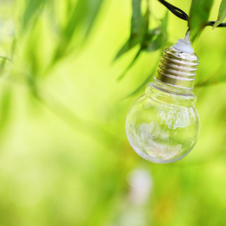 https://雷竞技下载链接官网appwww.explorizers.com/red-deer/wp-content/uploads/sites/42/2021/07/Outdoor-Lighting.png