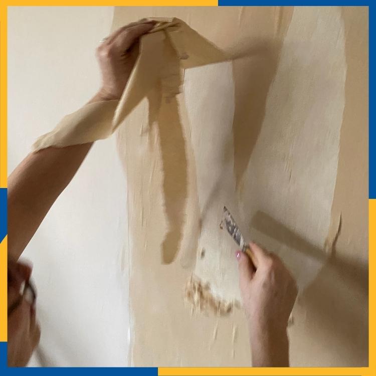 https://雷竞技下载链接官网appwww.explorizers.com/red-deer/wp-content/uploads/sites/42/2022/03/3-Benefits-of-Professional-Wallpaper-Removal-In-Red-Deer.jpg