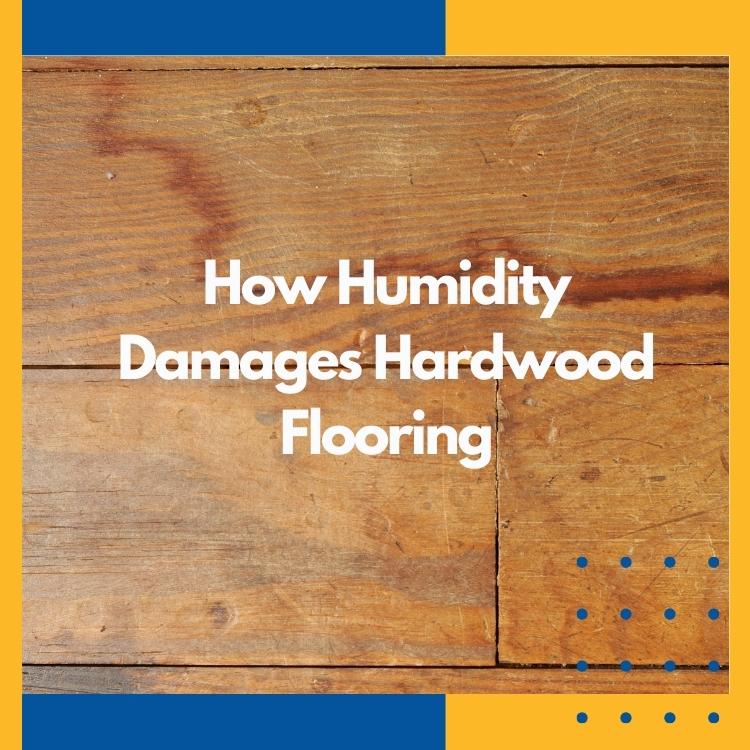 https://雷竞技下载链接官网appwww.explorizers.com/regina/wp-content/uploads/sites/43/2022/07/Handyman-in-Regina-How-Humidity-Damag雷竞技苹果官方网站es-Hardwood-Flooring.jpg