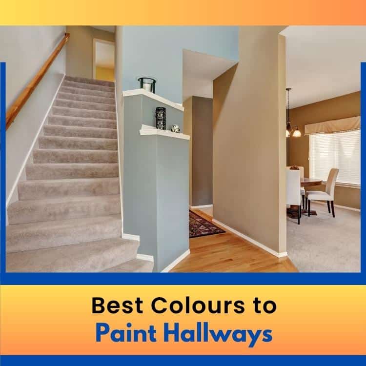 https://雷竞技下载链接官网appwww.explorizers.com/saskatoon/wp-content/uploads/sites/45/2023/07/Saskatoon-Handyman_-The-Best-Colours-to-Paint-Hallways.jpg