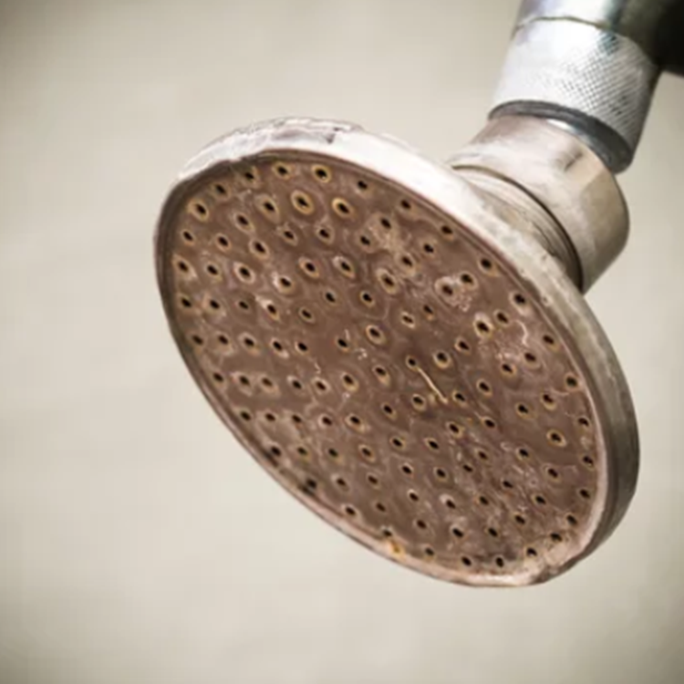 https://雷竞技下载链接官网appwww.explorizers.com/scarborough/wp-content/uploads/sites/46/2021/08/Is-It-Time-To-Replace-Your-Shower-Head.png