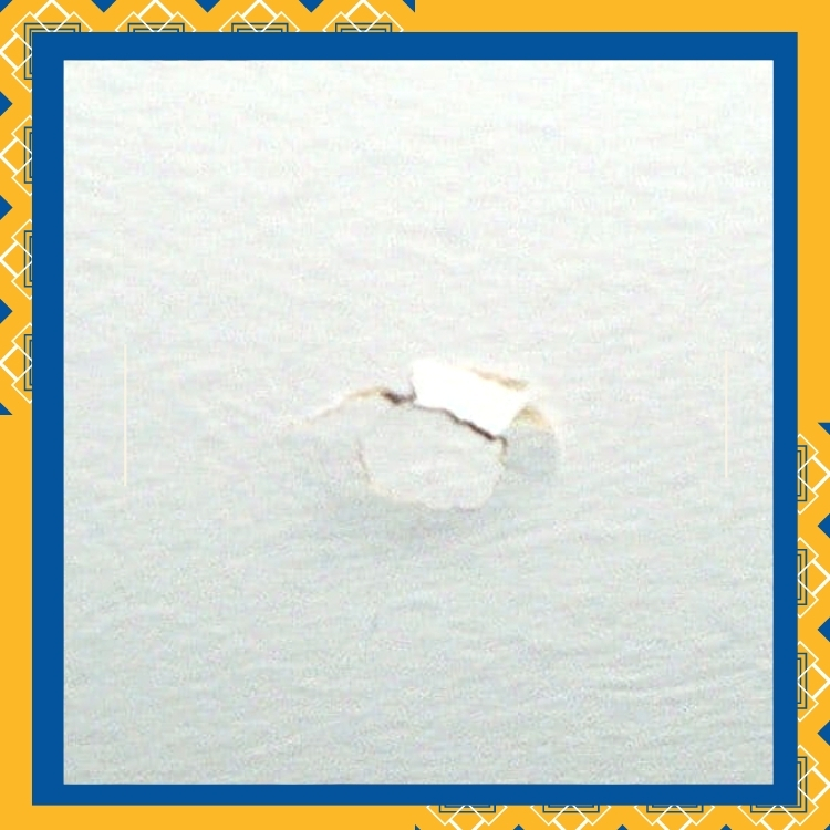 https://雷竞技下载链接官网appwww.explorizers.com/scarborough/wp-content/uploads/sites/46/2021/09/Does-Your-Drywall-Have-Nail-Pops-What-This-Means.jpg