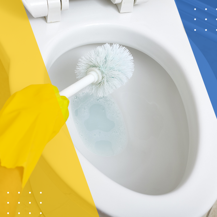 https://雷竞技下载链接官网appwww.explorizers.com/scarborough/wp-content/uploads/sites/46/2022/08/Preventing-Rust-Stains-in-Your-Toilet.png