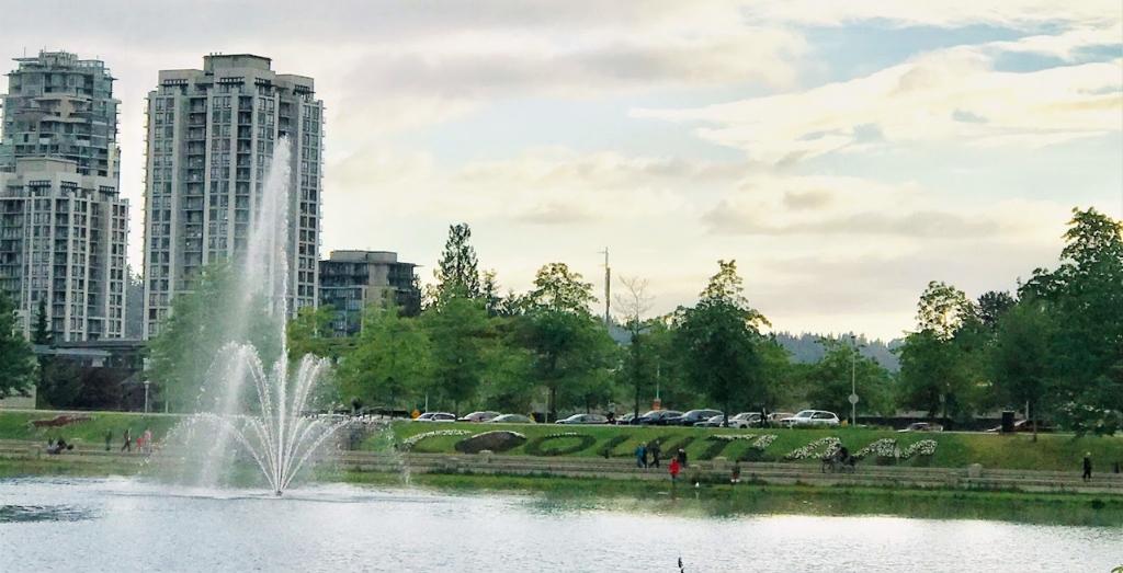 雷竞技下载链接官网app雷raybet官方网站勤杂工连接高贵林