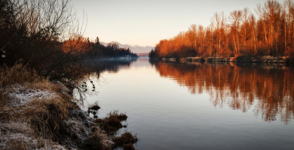 雷竞技下载链接官网app雷raybet官方网站勤杂工连接兰利