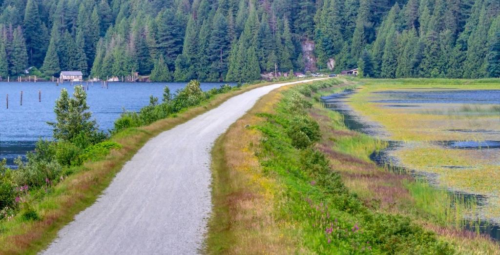 雷竞技下载链接官网app雷raybet官方网站杂工连接皮特草地