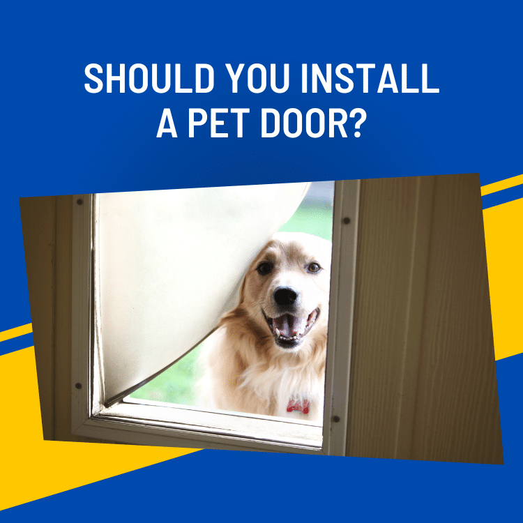 你应该安装一个宠物门吗
