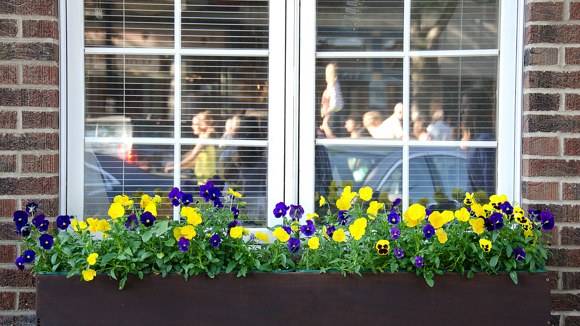 窗台上的花盆箱