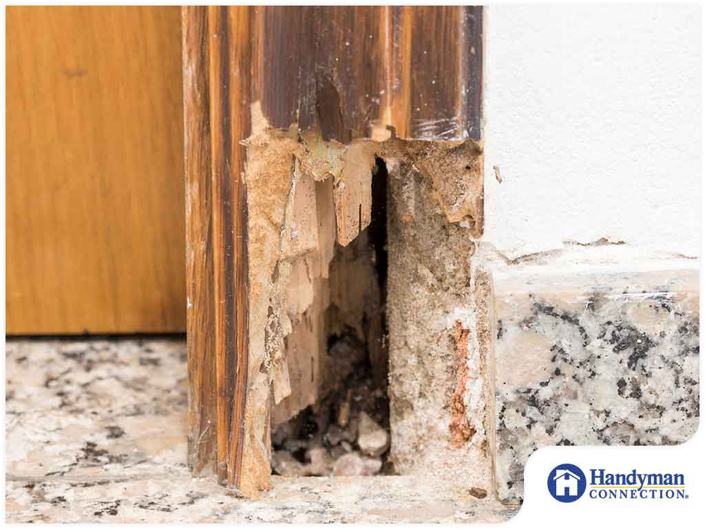 215 -冬天parkhand雷竞技下载链接官网appymanconnection1.jpg