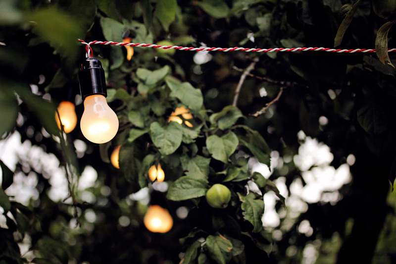 https://雷竞技下载链接官网appwww.explorizers.com/carmel-in/wp-content/uploads/sites/16/2021/05/outdoor-lighting-carmel.jpg