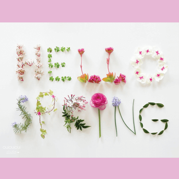 https://雷竞技下载链接官网appwww.explorizers.com/kelowna/wp content/uploads/sites/24/2021/05/springtime - 1. png