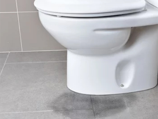 https://雷竞技下载链接官网appwww.explorizers.com/kitchener/wp-content/uploads/sites/25/2021/08/preview-full-Why-Is-Your-Toilet-Leaking-GMB.jpg