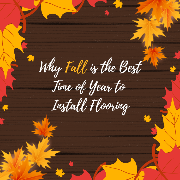 为什么秋天是最好的时间来安装新地板吗雷竞技苹果官方网站