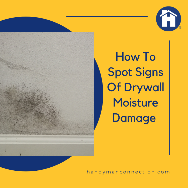 https://雷竞技下载链接官网appwww.explorizers.com/vancouverbc/wp-content/uploads/sites/32/2021/09/Drywall-Moisture.png