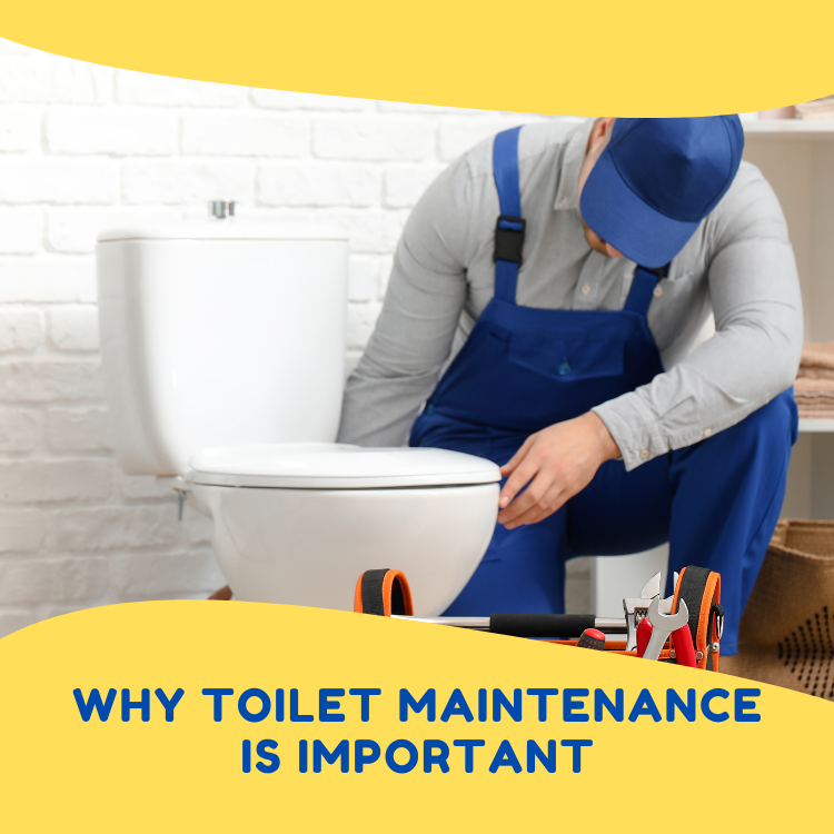 https://雷竞技下载链接官网appwww.explorizers.com/vaughan/wp-content/uploads/sites/51/2022/07/Why-Toilet-Maintenance-is-Important.png