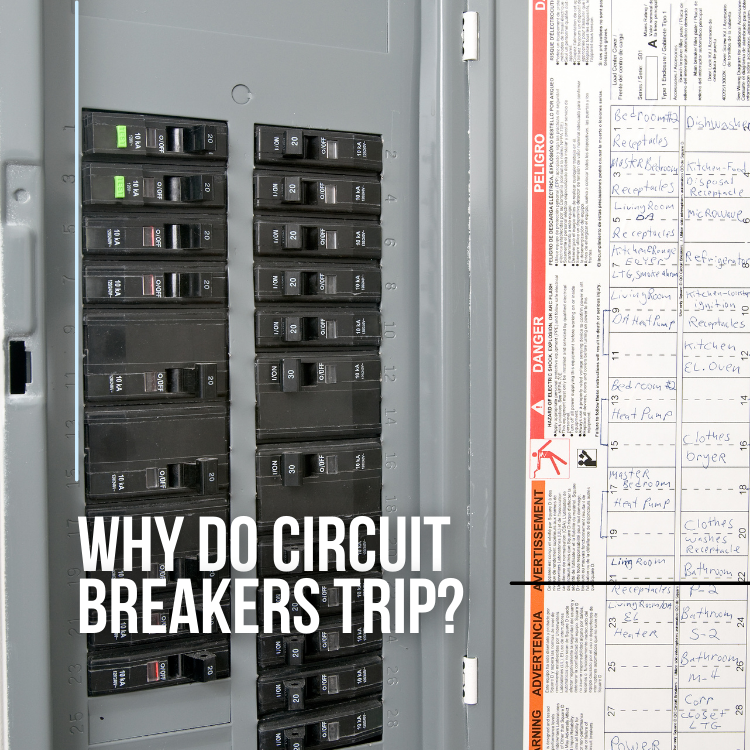 https://雷竞技下载链接官网appwww.explorizers.com/vaughan/wp-content/uploads/sites/51/2022/08/Circuit-Breakers.png