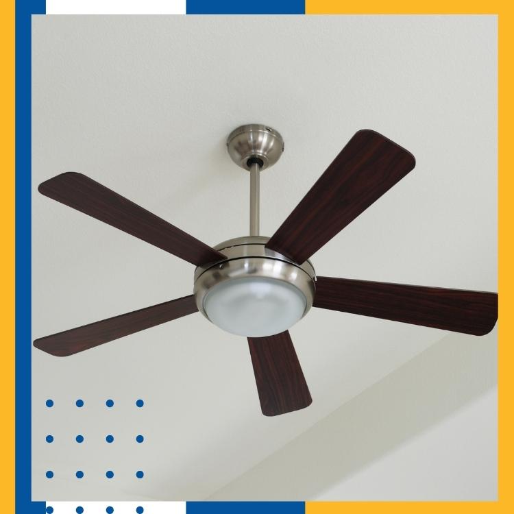 https://雷竞技下载链接官网appwww.explorizers.com/victoria/wp-content/uploads/sites/52/2022/04/How-To-Choose-The-Right-Ceiling-Fan-For-Your-Victoria-Home.jpg